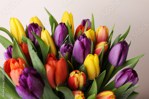 Bouquet of colorful tulips on white background  closeup