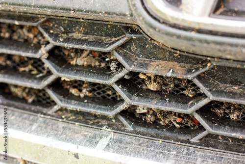 various insects on the car radiator grill, photo close