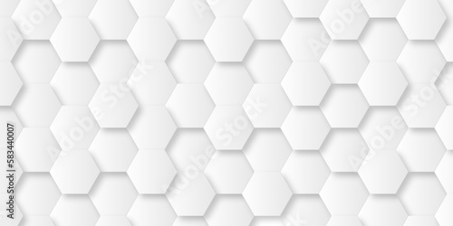 Fototapeta Naklejka Na Ścianę i Meble -  Abstract background with geometric . Background with hexagons . Abstract background with lines . white texture background . white and hexagon abstract background. white paper texture and futuristic .