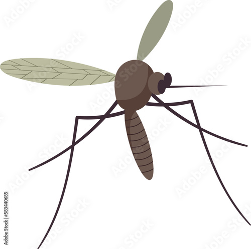Small flying mosquito insect