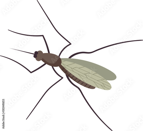 Small flying mosquito insect