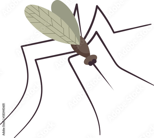 Small flying mosquito insect