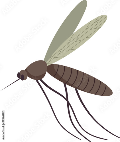 Small flying mosquito insect