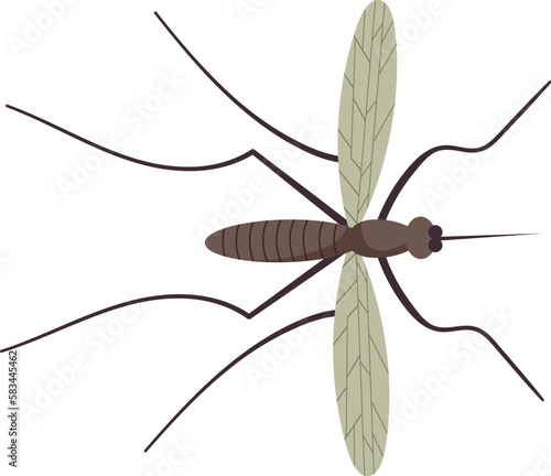 Small flying mosquito insect