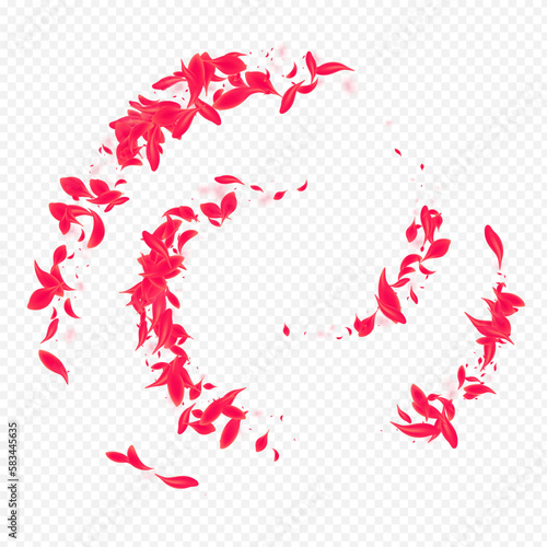 Delicate Floral Vector Transparent Background.