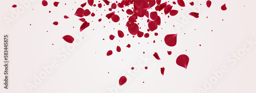 Red Rose Blur Vector Panoramic White Background.