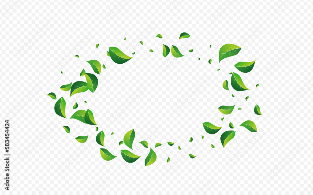 Swamp Foliage Blur Vector Transparent Background. Swamp Foliage Blur Vector Transparent Background.