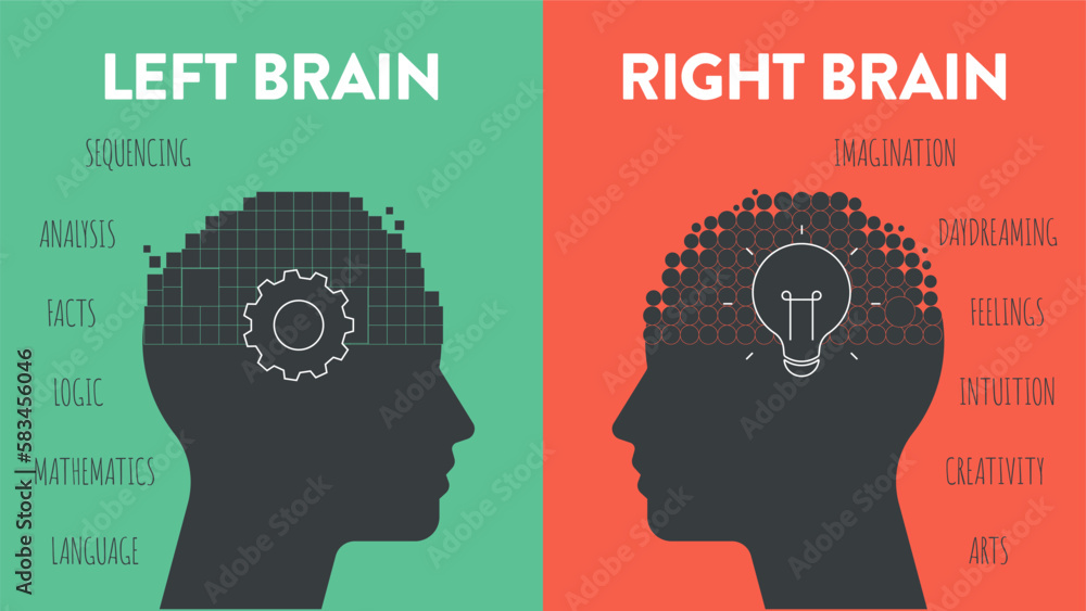 Left Brain vs. Right Brain Dominance infographic template. How the human brain works theory. Creative people right-brained and analytical thinkers left-brained concept.Visual slide presentation vector