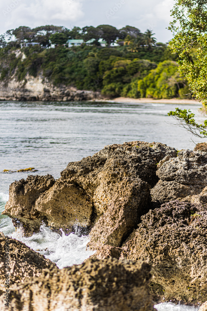 Paysage de Guadeloupe