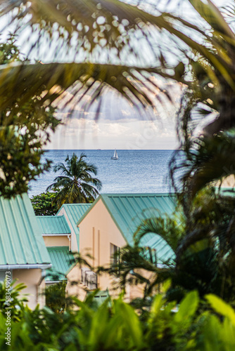 Paysage de Guadeloupe © jp