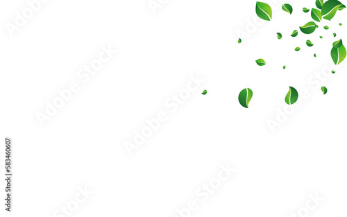 Green Foliage Flying Vector White Background.