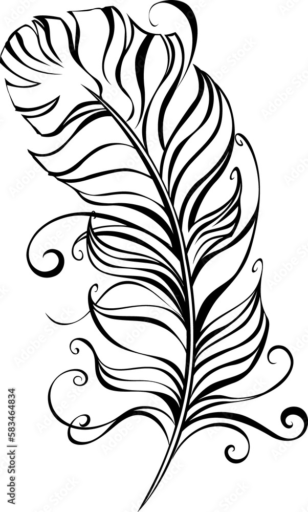 Obraz premium Fluffy Feather