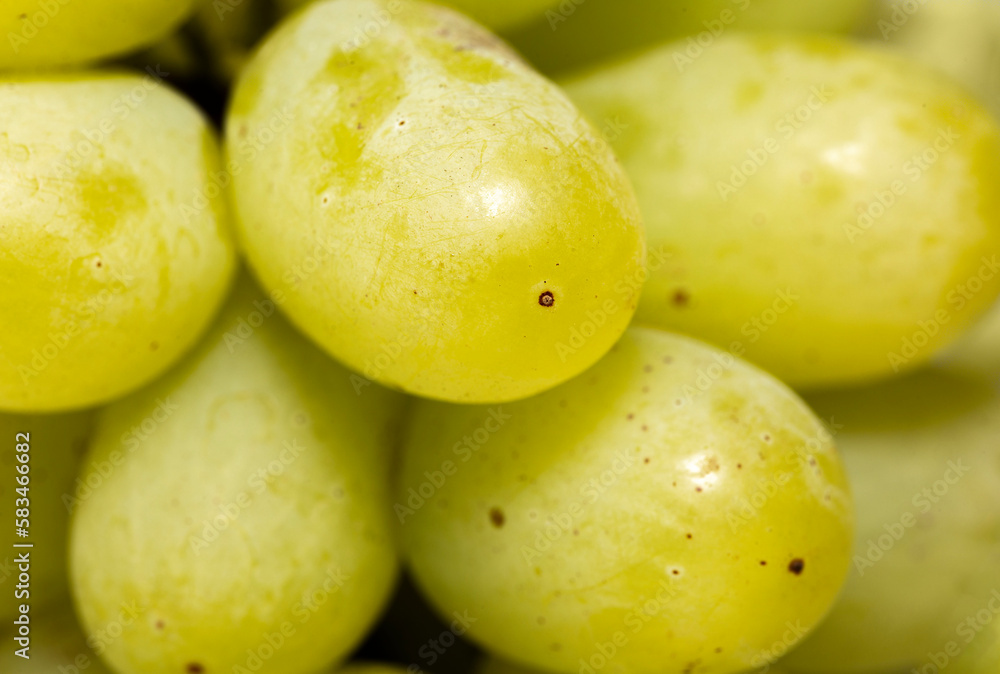 close-up macro shot of green grapes close-up macro shot of green grapes