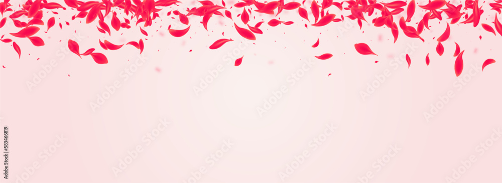 Red Peach Vector Pink Panoramic Background.