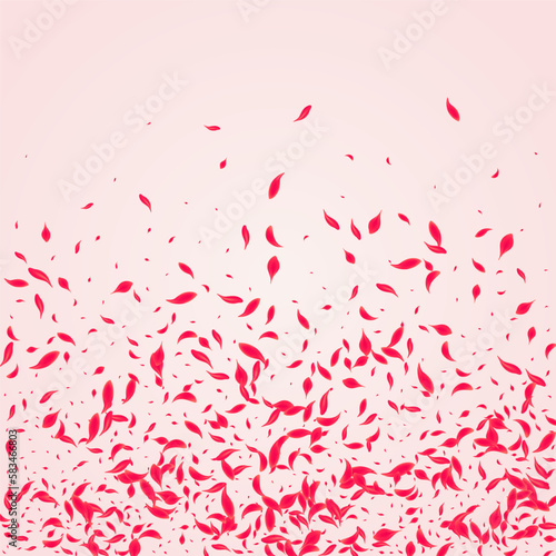 Ruby Lotus Vector Pink Background. Beauty Rose
