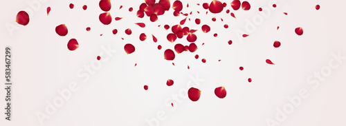 Delicate Cherry Spring Vector Panoramic White