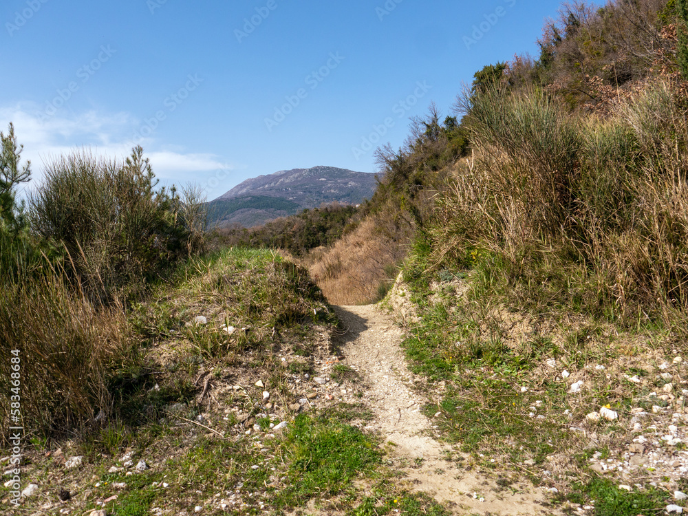 Rocky mountain footpath over top of the hill under clear blue sky