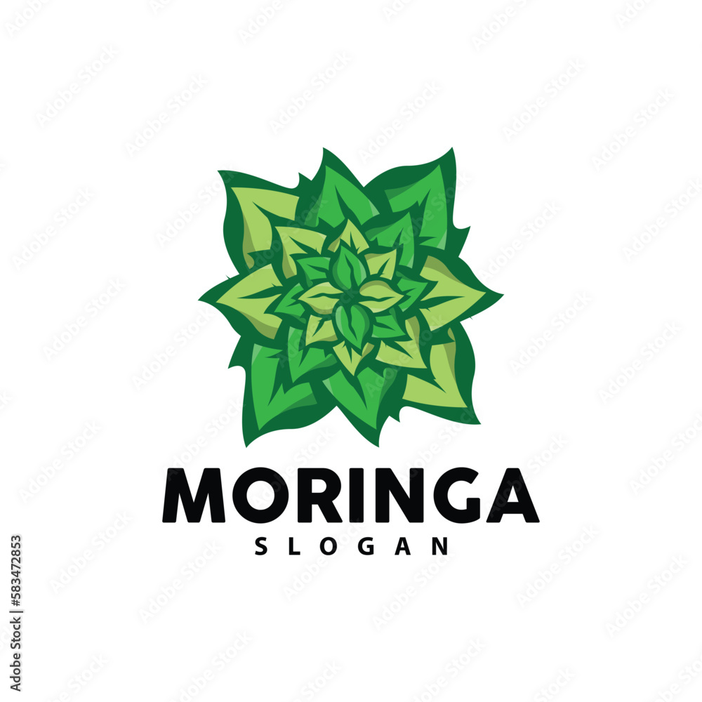 Leaf Logo, Eco Green Plant Vector, Green Earth Care Recycling Design, Moringa Leaf Logo Icon Template Illustration Leaf Logo, Eco Green Plant Vector, Green Earth Care Recycling Design, Moringa Leaf Logo Icon Template Illustration
