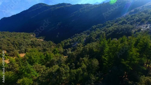 aerial shot with drone of the mountains of the chrea national park in Algeria photo