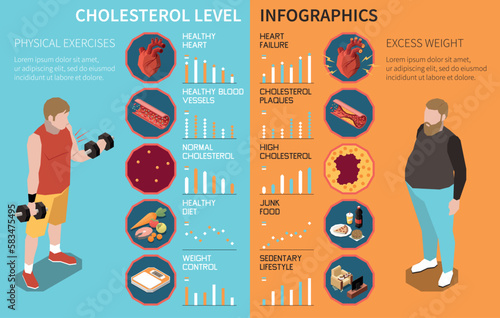 Cholesterol Level Infographics