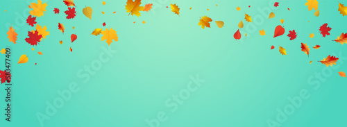 Golden Leaves Vector Blue Panoramic Background.