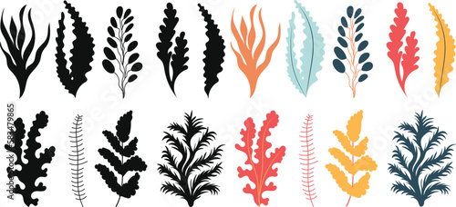 seaweed set on white background isolated vector
