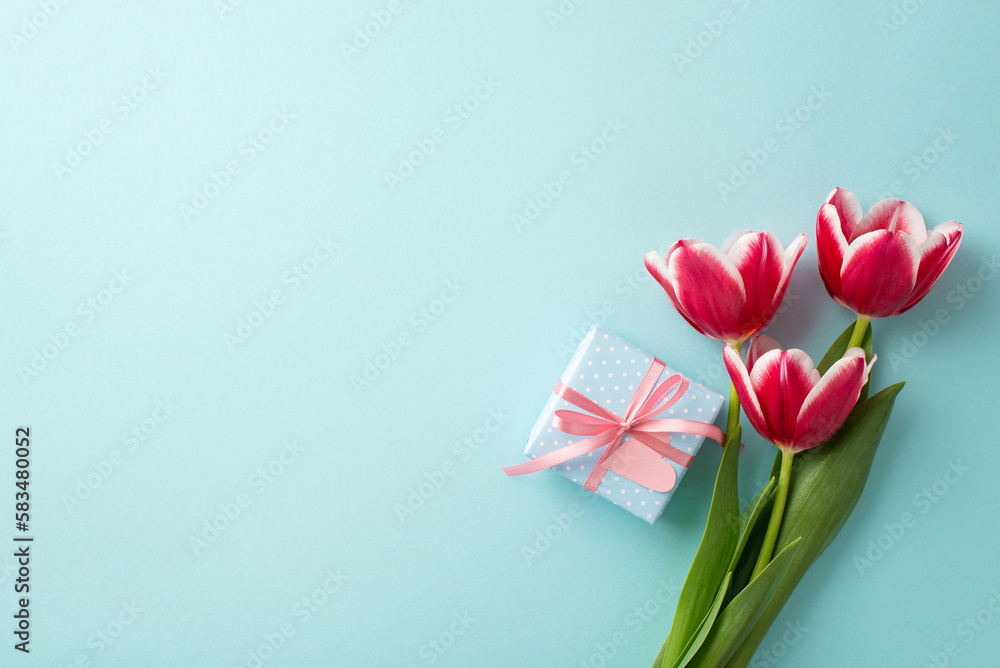 Fototapeta premium Mother's Day atmosphere concept. Top view photo of pink tulips and small giftbox with ribbon bow on isolated pastel blue background with empty space
