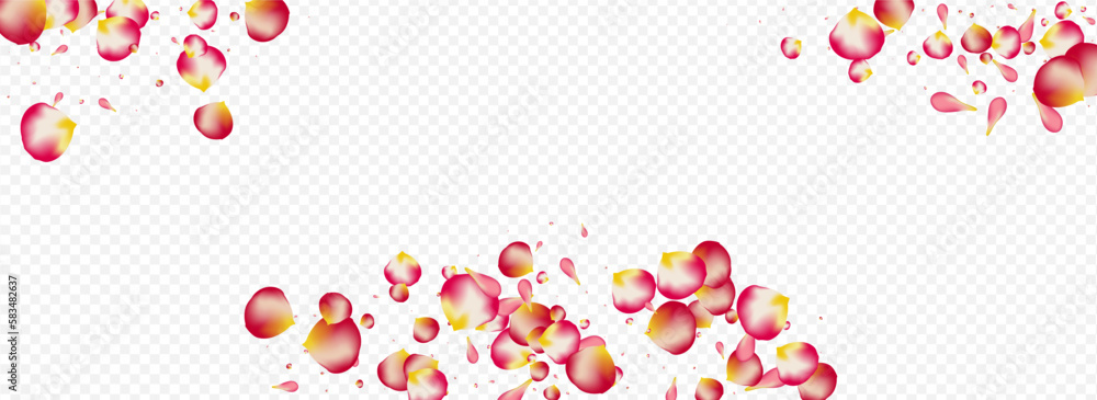 Delicate Blossom Summer Vector Panoramic