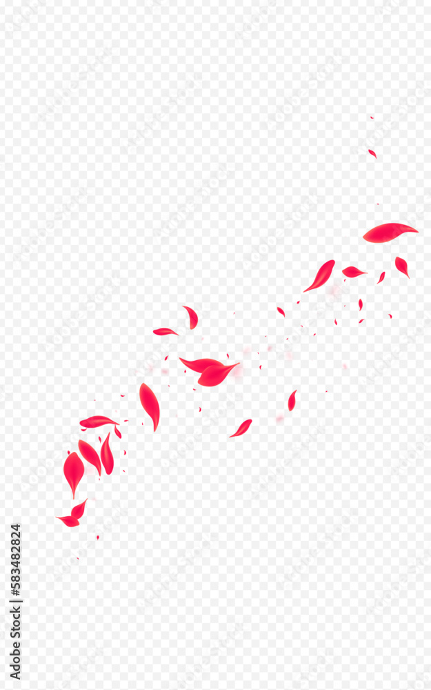 Red Flower Vector Transparent Background. Falling Red Flower Vector Transparent Background. Falling