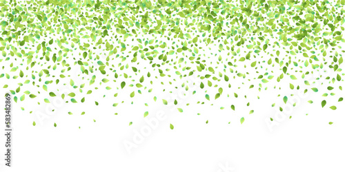 Leaves Green Falling Flying Foliage Leaf Tea Mint