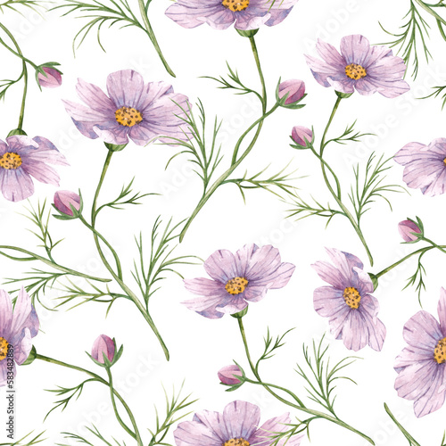 Cosmoea wild flowers  floral watercolor seamless pattern with colorful flowers  on white background  hand painted summer meadow illustration