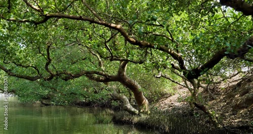 Sicao Green Tunnel in Tainan