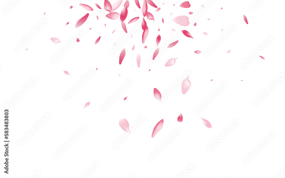 Transparent Cherry Petal Vector White Background. Transparent Cherry Petal Vector White Background.