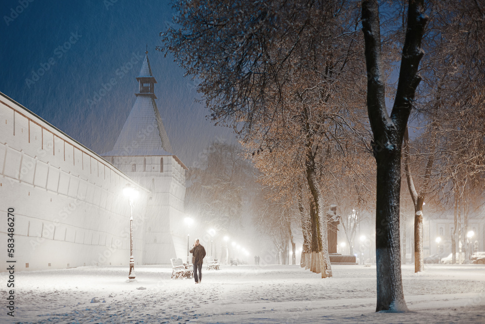 Snowy alley near Trinity St. Sergy Monastery, Sergiev Posad, Russia