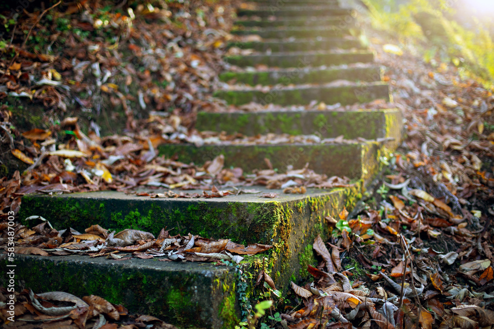 Old stairway in the autumn forest, covered with fallen leaves