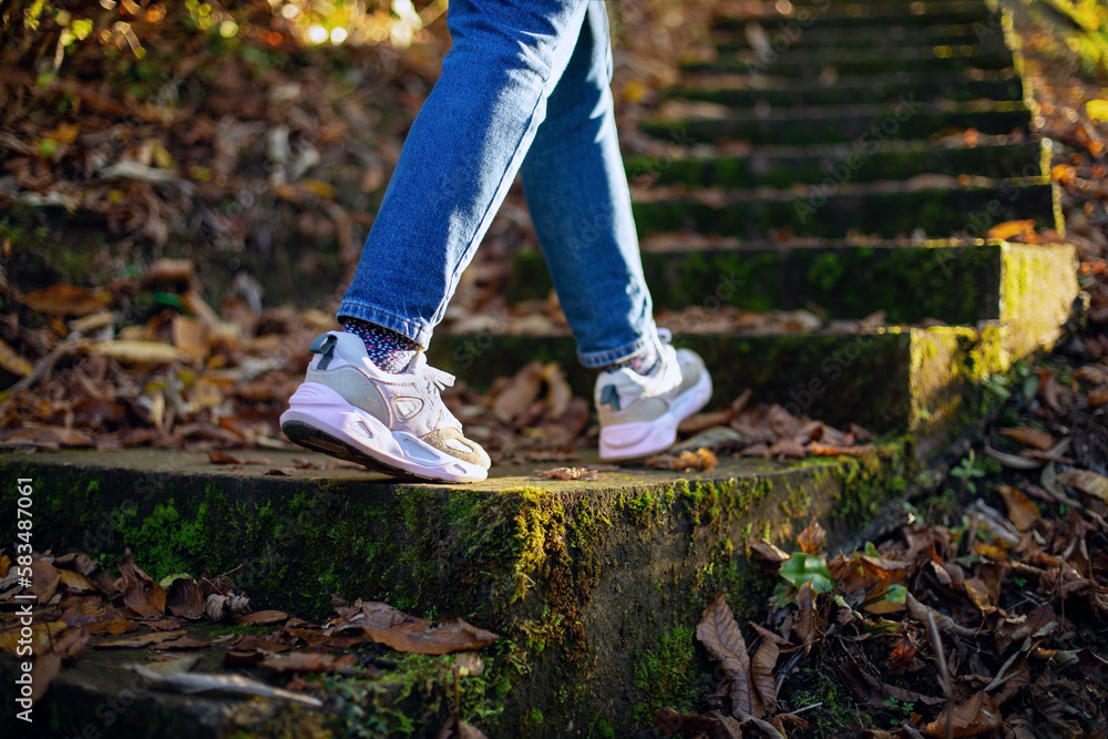Walk along an abandoned staircase in the autumn forest leading through stones and trees