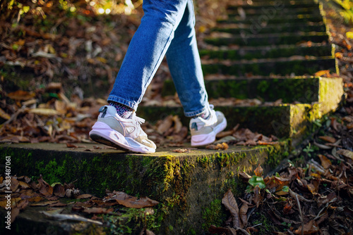 Walk along an abandoned staircase in the autumn forest leading through stones and trees