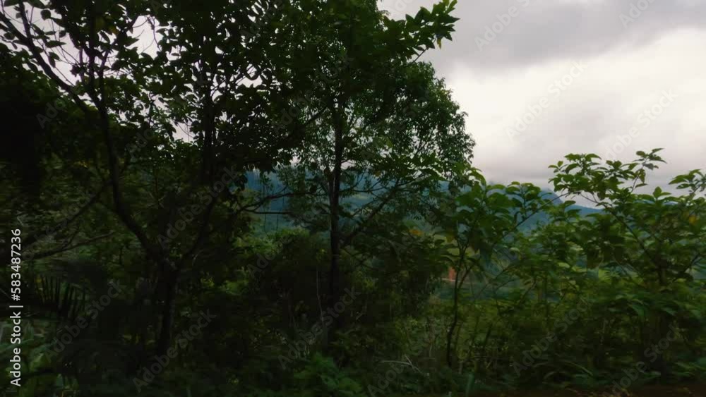 Driving down Serra Dagua by car in Angra dos Reis. View from inside the car. Mountain top trip with nature background Driving down Serra Dagua by car in Angra dos Reis. View from inside the car. Mountain top trip with nature background