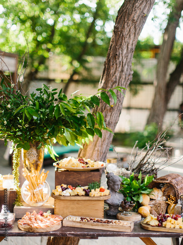Decorated buffet at an outdoor party. Banquet with appetizers: cheese slices, prosciutto, zamon, grapes, bread sticks, fresh bread. Laurel branches in a vase, sculptures. © Viktor