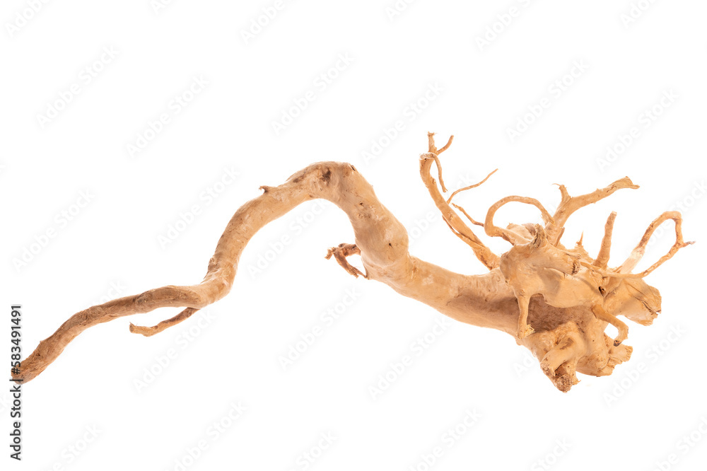 Fototapeta premium Red moor driftwood for aquarium aquascaping design