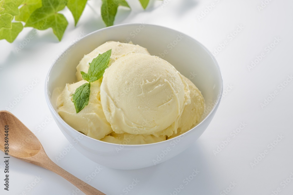 冷たくて美味しいバニラアイスクリーム 冷たくて美味しいバニラアイスクリーム