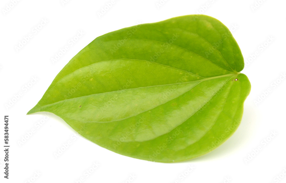 Obraz premium Betel leaf isolated on white background