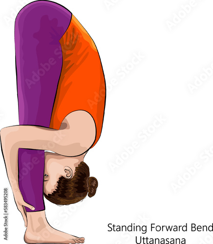 Full length side view of young woman practicing yoga exercise, doing Standing Forward Bend pose or Uttanasana. Standing and Forward Bend. Beginner. Vector illustration isolated on white background.