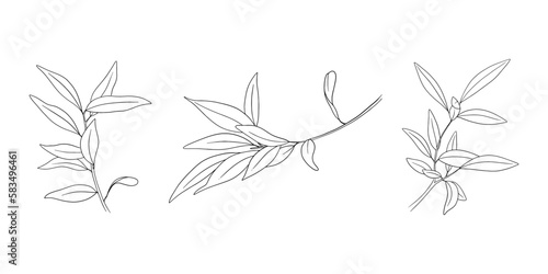 Olive branch set in line art style. Botanical sketch 