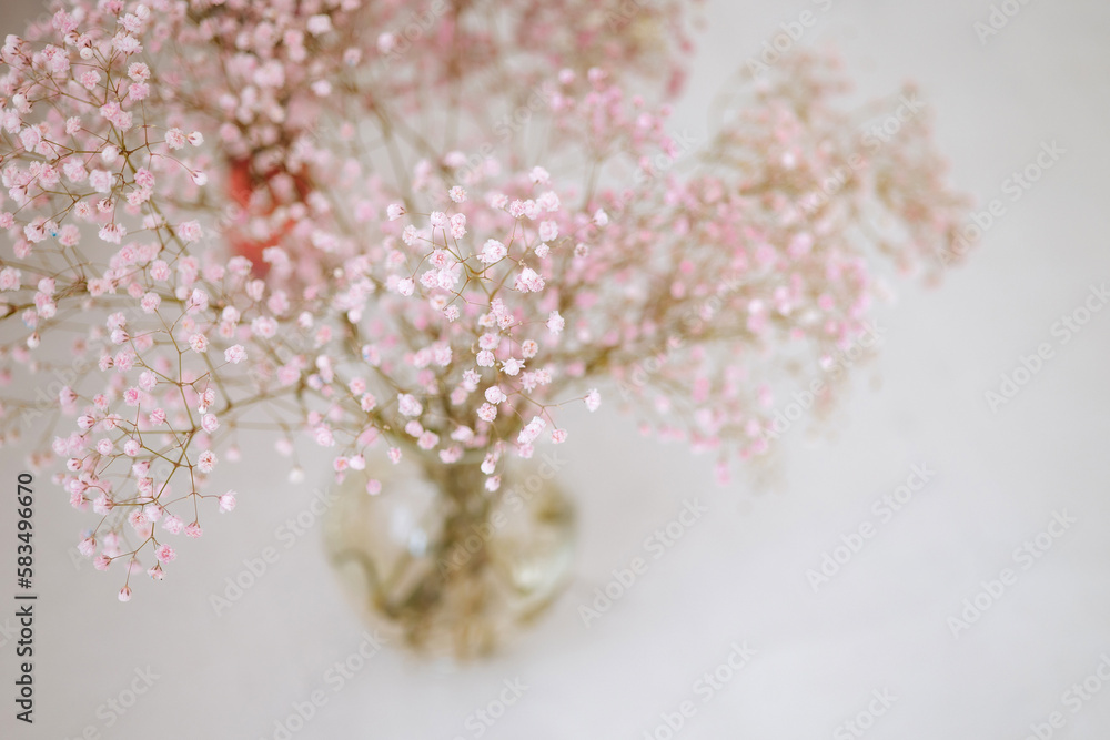 Soft blur focus bouquet of pale pink gypsophila flowers on a blurred white background. Soft blur focus bouquet of pale pink gypsophila flowers on a blurred white background.