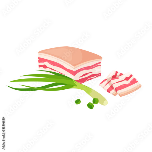 Vector lard and spring green onion. Bacon fillet, pork belly. Fresh meat.