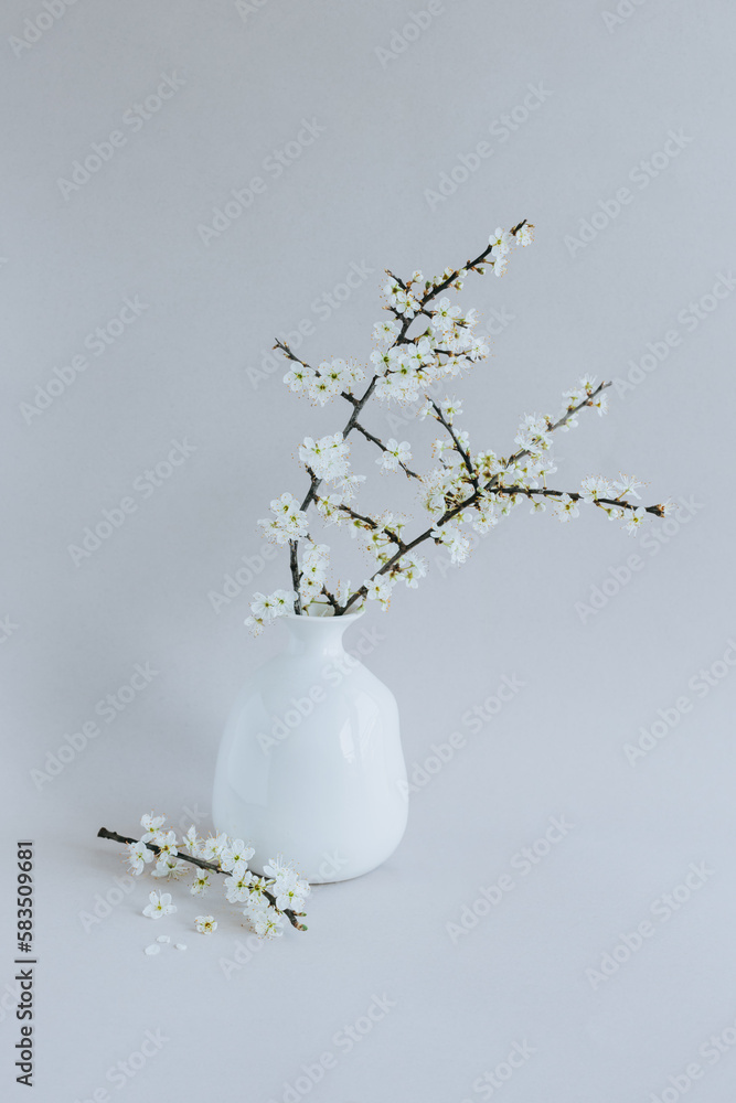 Beautiful blossom branches in a white vase on a grey background.