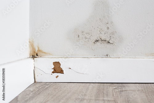 problems of dampness in the wall and floor of a house. Repair for insurance company
