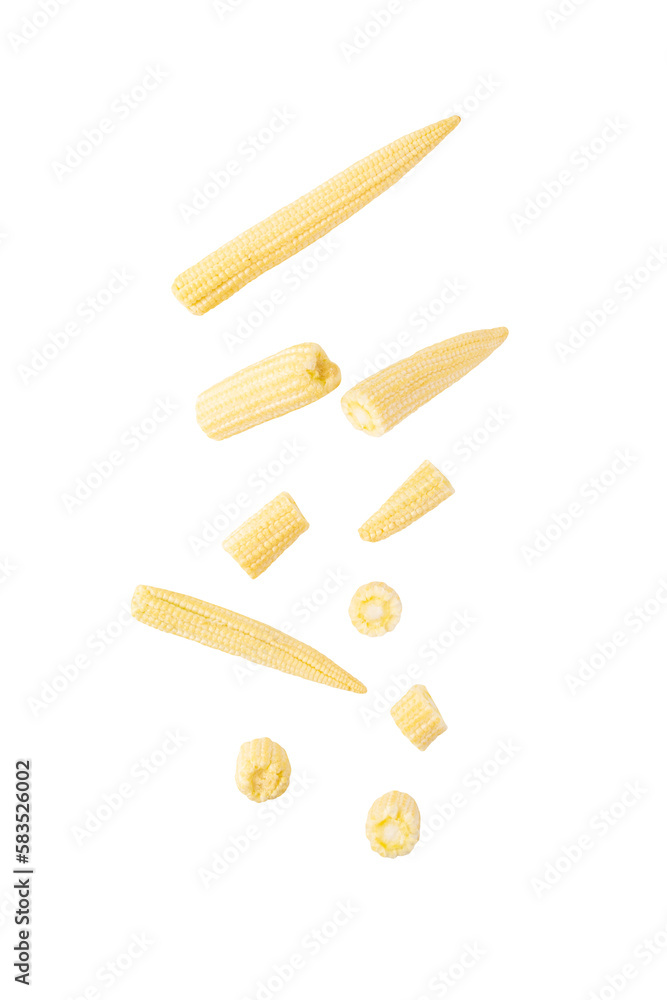Falling Baby corn cutout, Png file. Falling Baby corn cutout, Png file.