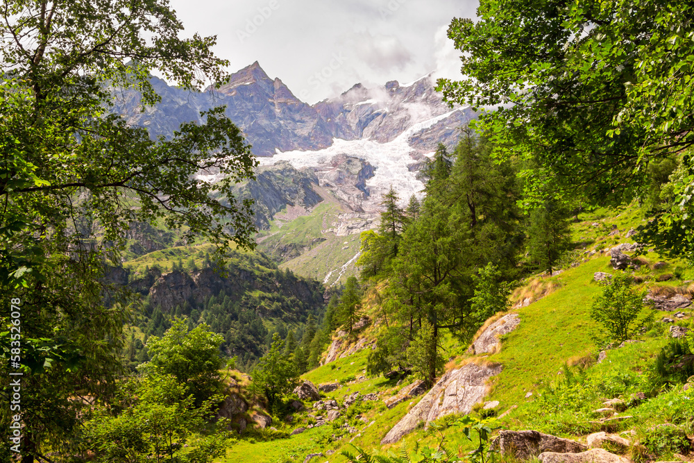 Panorama along the path in the Alta Valsesia Natural Park in summer. Trekking in the mountains. View of the peaks, meadows, threes and woods. Italian Alp. Alagna Valsesia. Piedmont. Alps Italy